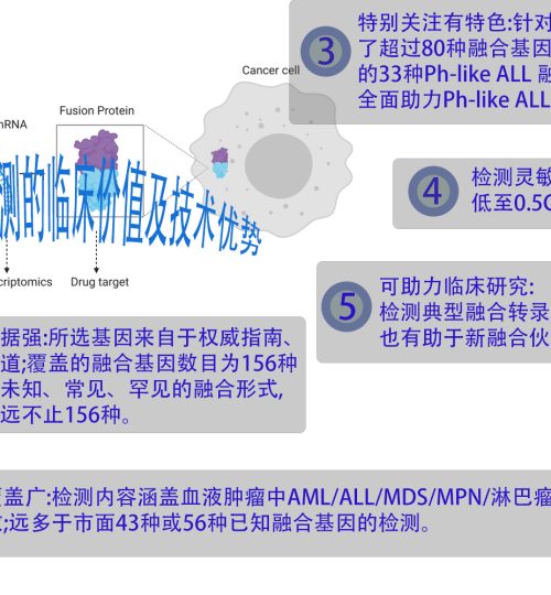 156基因融合检测（血液）