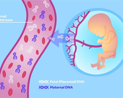 Fetal-placental-DNA-Image